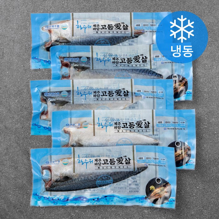 한수위 제주바당 고등애살 5미 (냉동), 500g, 1개