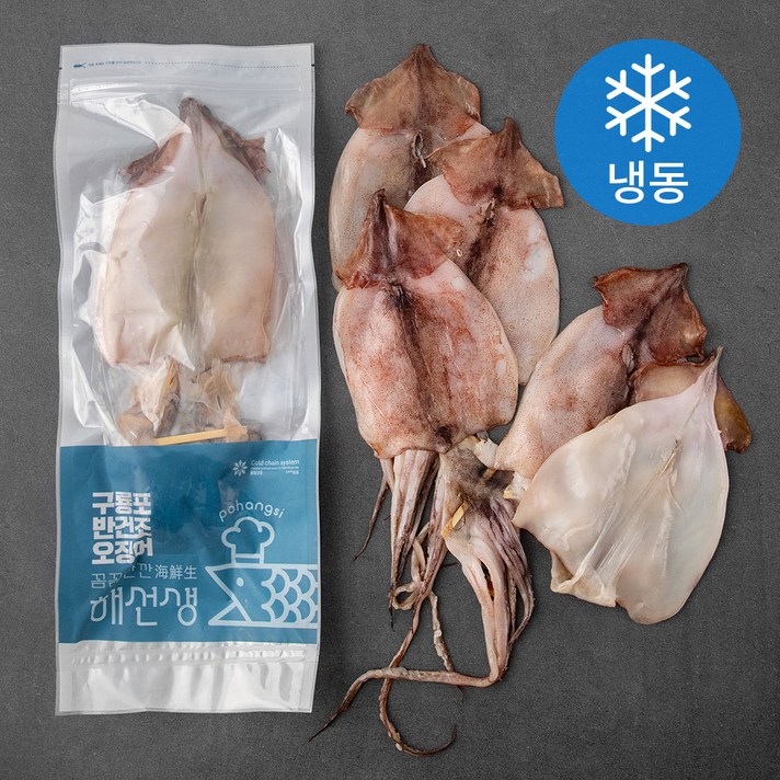 포항시 인증 구룡포 반건 오징어 4~5미 (냉동), 500g, 1개