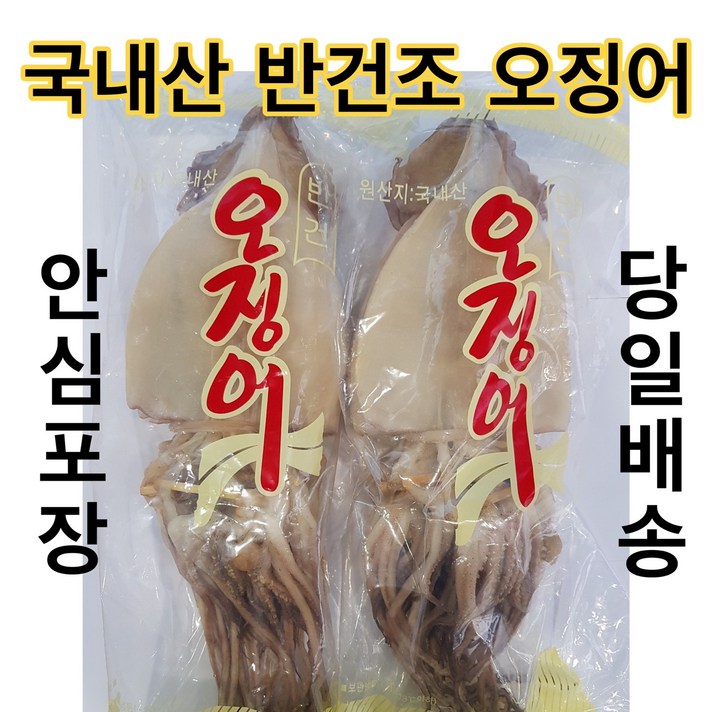유성일등 동해안 쫄깃쫄깃 반건조 오징어, 10마리, 1.2kg (大)