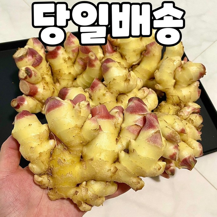후니팜 봉화 햇 생강 1kg 3kg 5kg 10kg