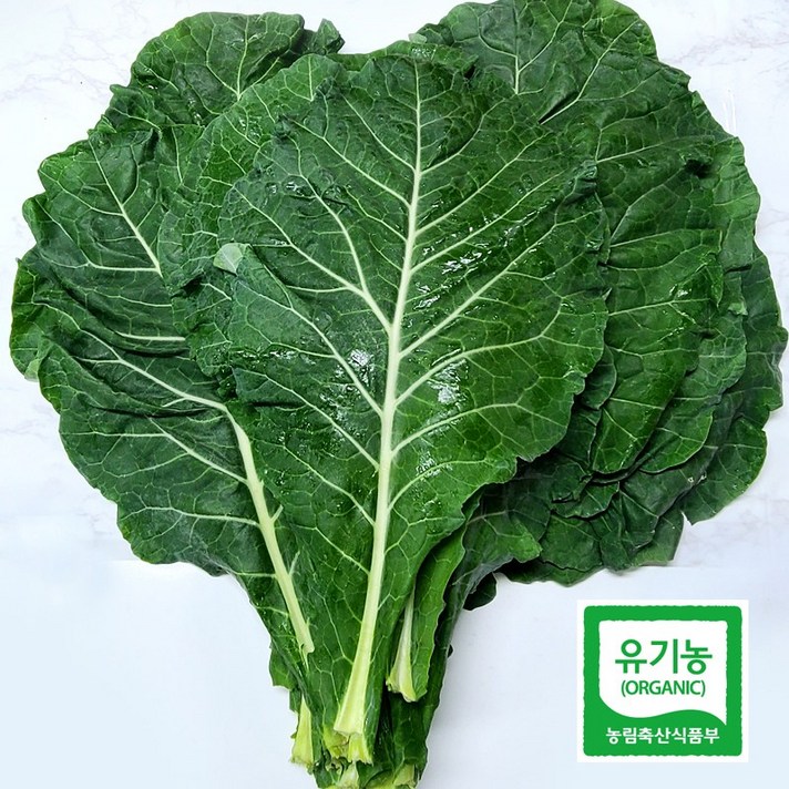 휴엔팜 유기농 녹즙용 케일 2kg, 1개