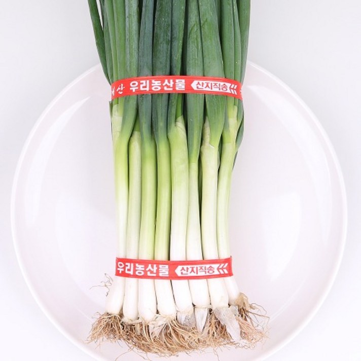 대파 2kg내외 팔팔마켓 국산 파 뿌리대파 한단, kg