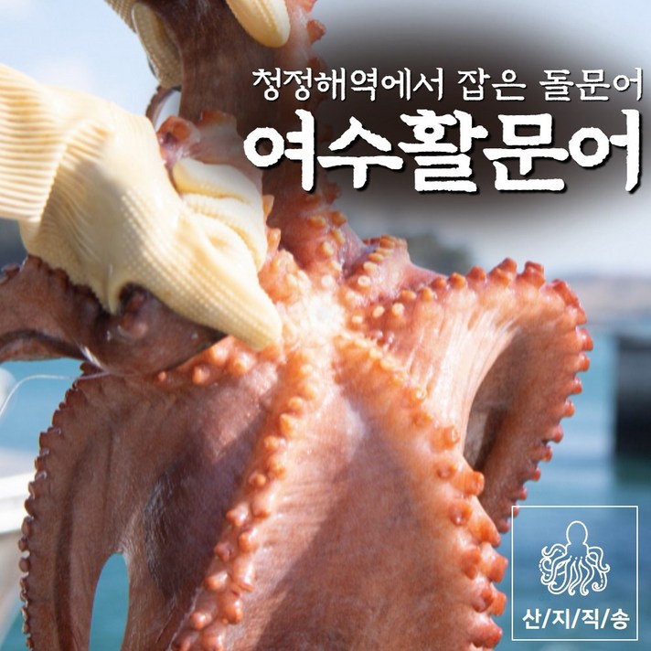 여수 자연산 생물 돌문어 1kg 2kg 3kg 대왕문어 참문어 생문어 대문어 남해돌문어 통문어 왕문어 국산 활문어, 대문어 2kg