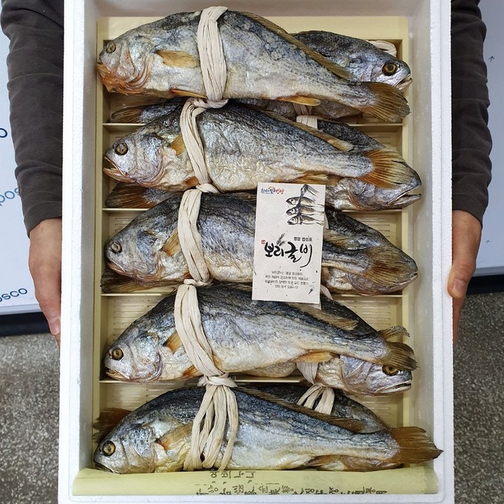 영광 법성포 부세보리굴비 27cm 28cm 30cm내외 5미 10미 보리굴비, 1box, 부세보리굴비 10미 x 27cm