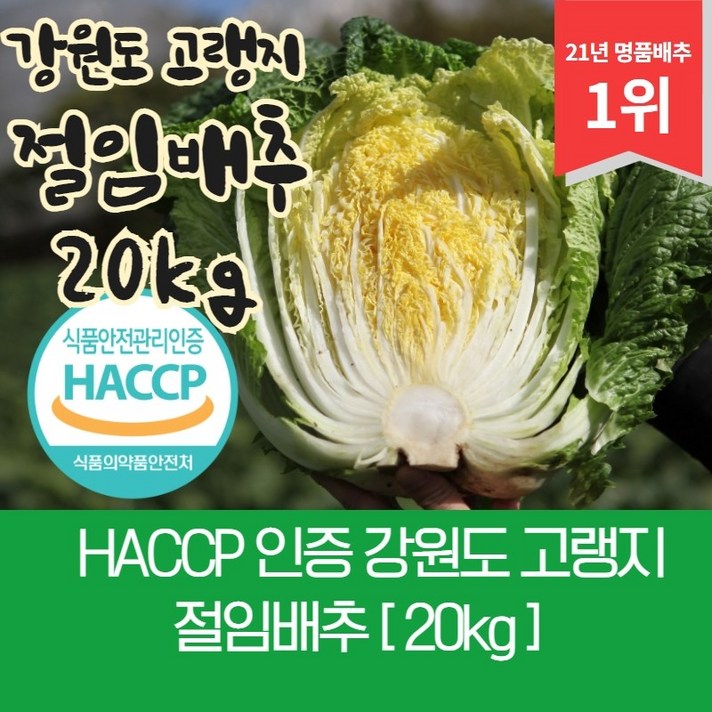 강원도 고랭지 절임배추 20kg, 화요일 출고 수요일 도착