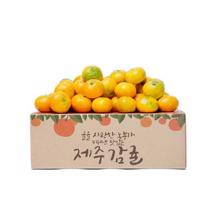 제주 햇 감귤 고당도 제철과일, 1box, 4.5kg 로열과