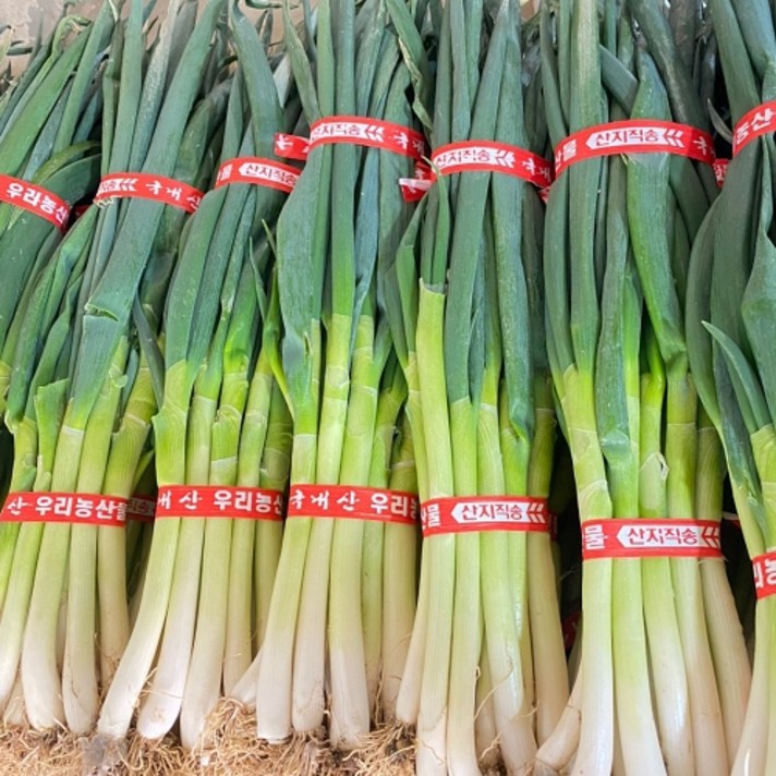 365팩토리 국내산 손질 대파 1kg 내외