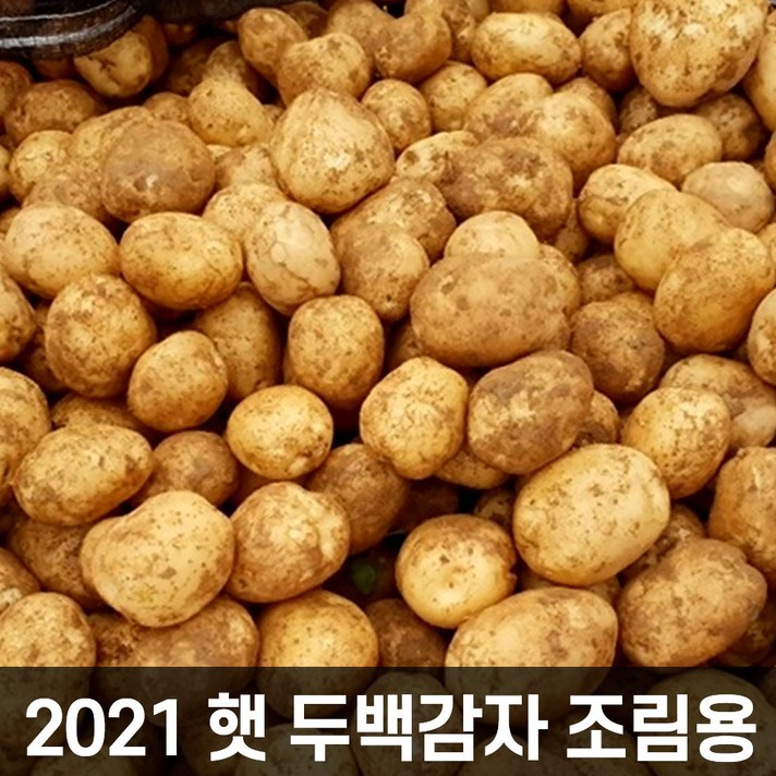 중문푸드 품종개량 우수종 두백감자 분나는 국산 햇 감자 조림용(개당50g이하) 중량선택, 두백감자 조림용 3kg