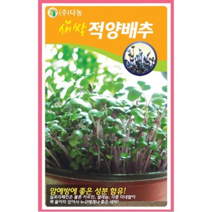 새싹적양배추씨앗 1kg, 없음, 상세설명 참조