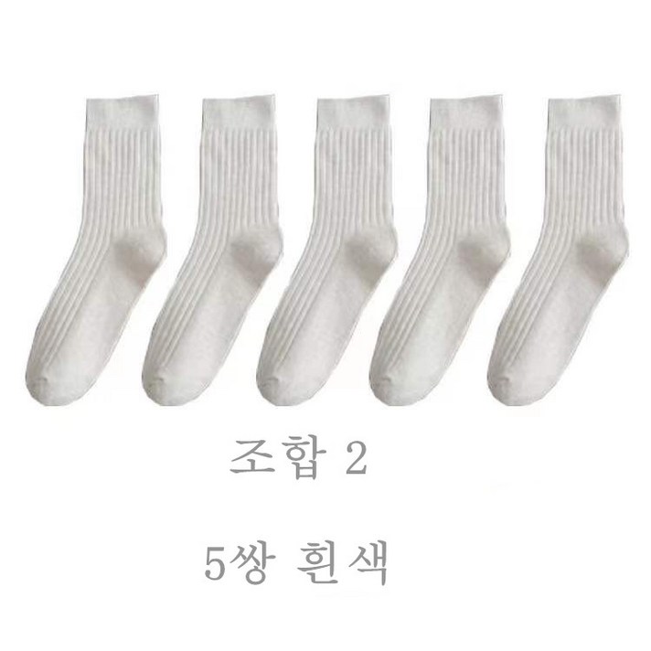 로지 컬러 중목 양말 10켤레