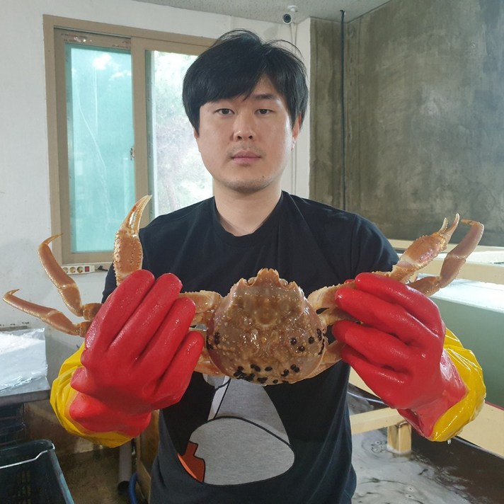 구룡포항 선주직송 당일조업 제철 자숙 연지홍게 수율보장 고급형(수율70%내외) 프리미엄(수율80%내외) 박달형(수율90%내외) 라면용 육수용 2kg 3kg 5kg, 수율70%내외 자숙 고급홍게3KG(9~11마리)