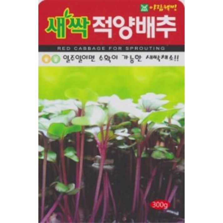 대포장 AR 씨앗 좋은 새싹적양배추 300g