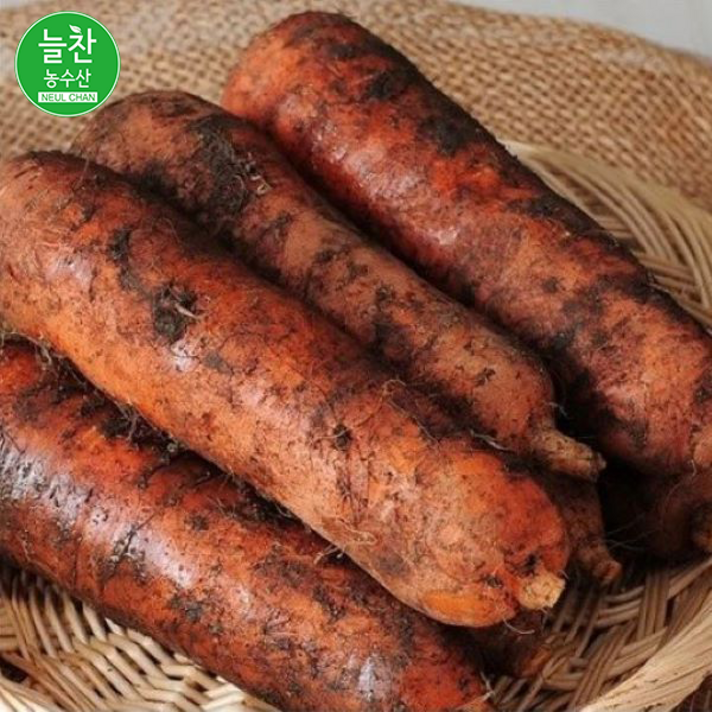 늘찬 국내산 햇흙당근, 햇당근 1box, 5kg(왕특)