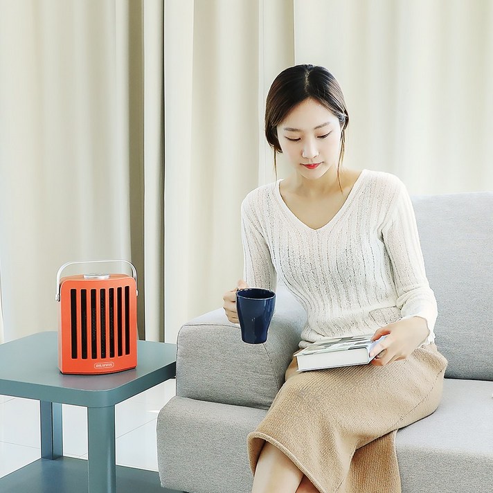 딜루비스 듀얼윈드 PTC 전기온풍기, 오렌지, Daul Wind