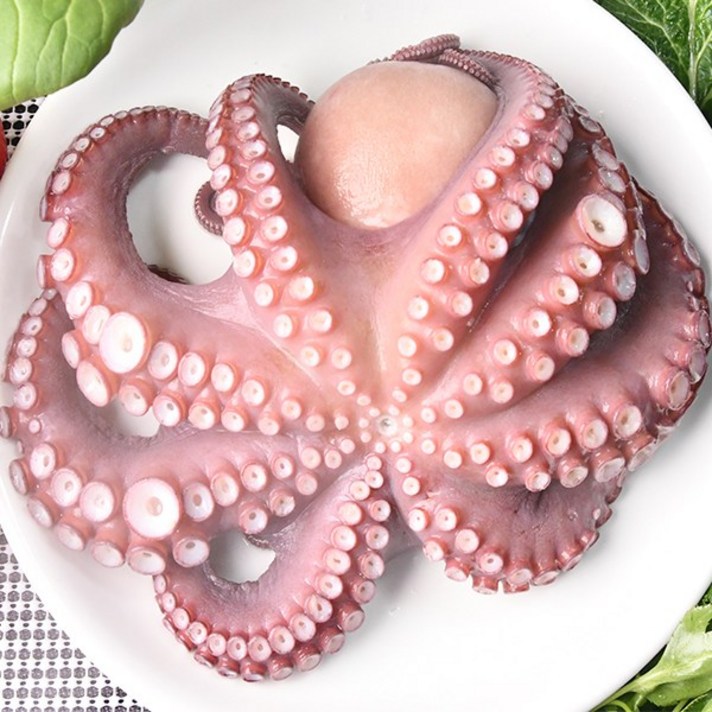 바로 삶아 보내는 국내산 자연산 남해안 자숙문어1kg, 단품