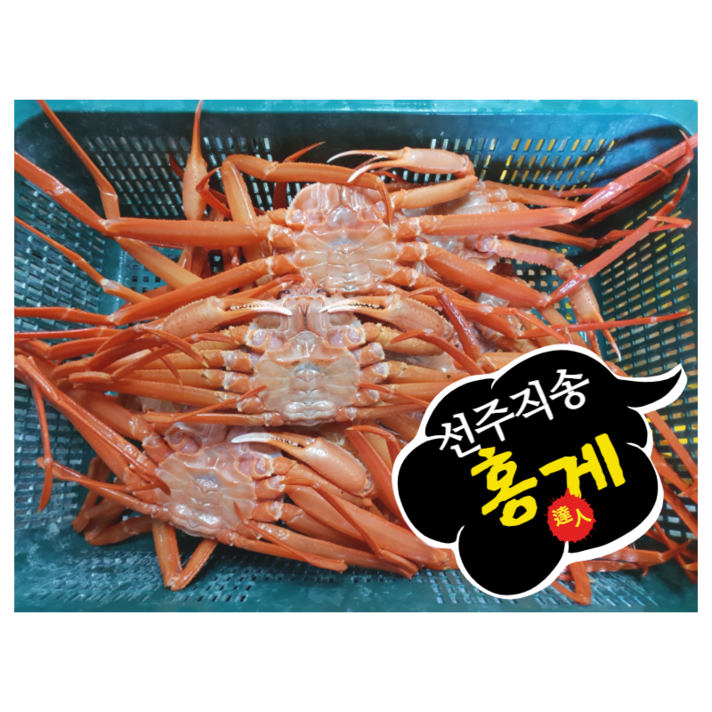 산지직송 홍게 자숙 홍게 2kg(6~8마리) 수율80%이상 최고급홍게 선주직송 빠른배송