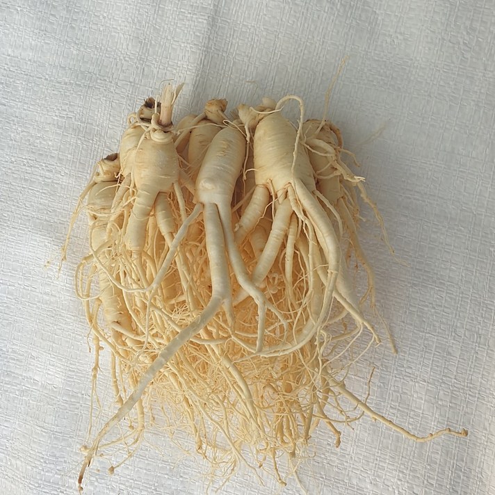 금산인삼 5년근 6년근 난발삼 350g 실속형 건강식 무료세척 수삼, 2개