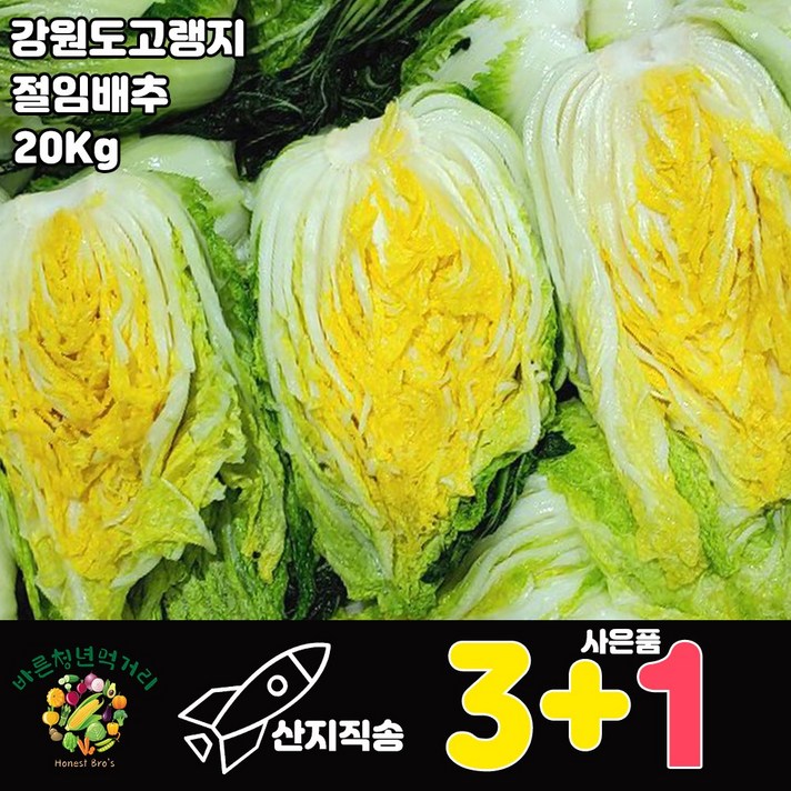 절임배추 20Kg (7~8포기) 강원도 고랭지 배추 (예약일 지정) 김장김치 김장배추 김치 배추 사은품 증정, 11월30일(화)도착
