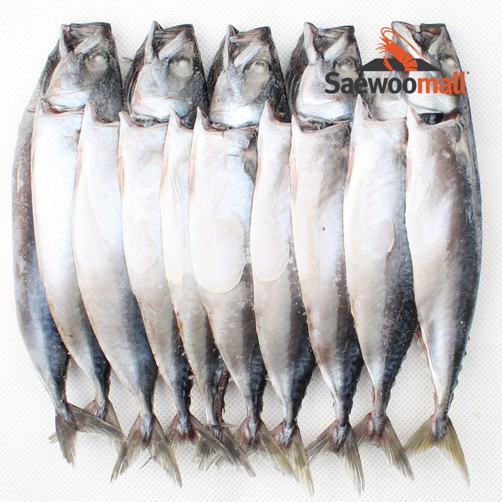 새우몰 국산 간고등어(대) 2.9kg 10미 겨울제철이라 더 맛나요, 1개
