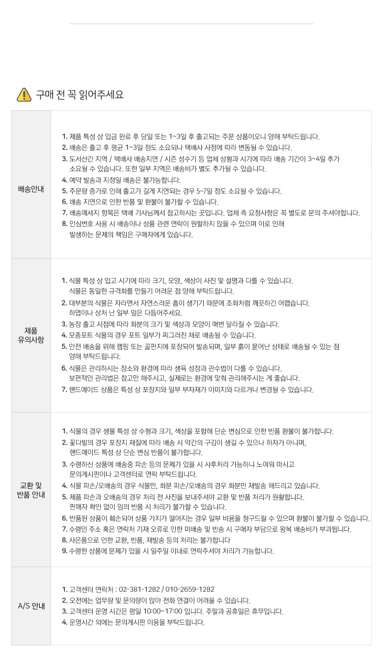 아침향기 용돈박스 카네이션 어버이날선물, 핑크