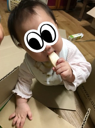 갤러리 이미지