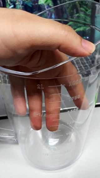 갤러리 이미지