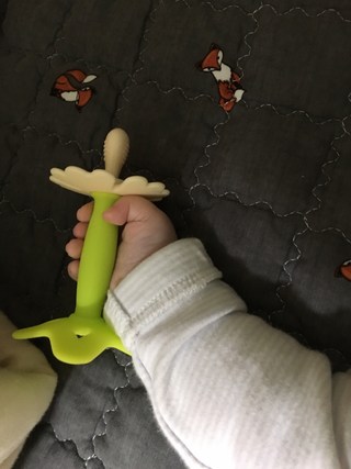 갤러리 이미지