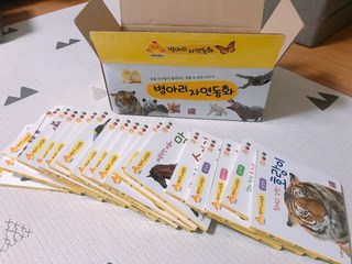 갤러리 이미지