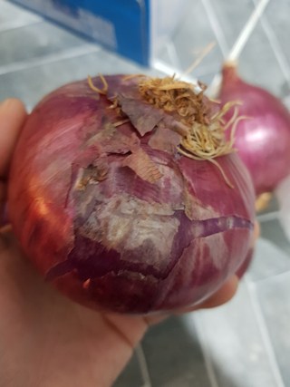 갤러리 이미지