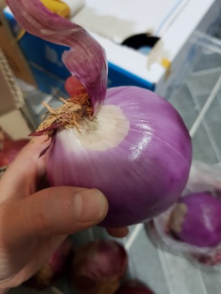 갤러리 이미지