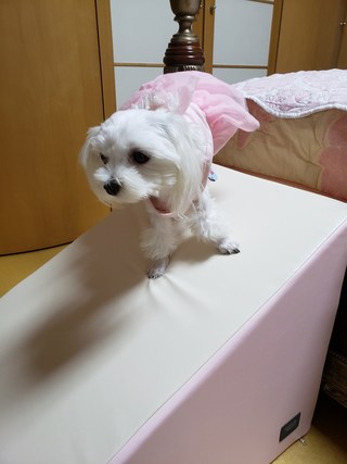 갤러리 이미지