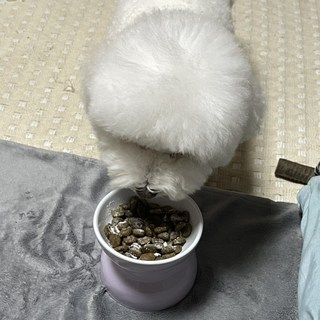 갤러리 이미지