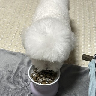 갤러리 이미지