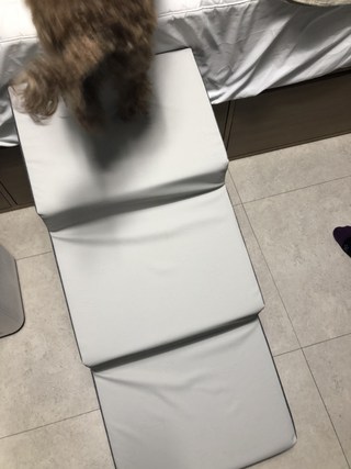 갤러리 이미지