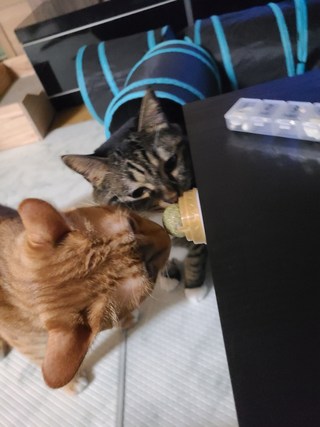갤러리 이미지