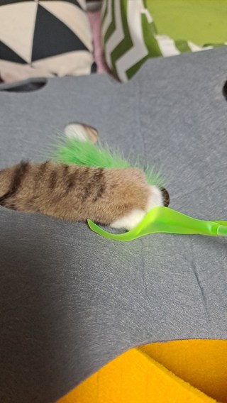 갤러리 이미지