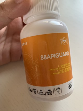 갤러리 이미지