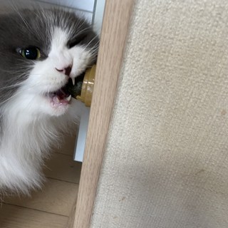 갤러리 이미지