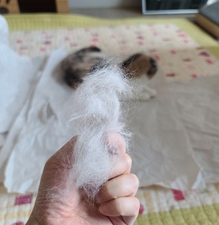 갤러리 이미지
