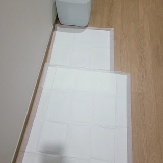 갤러리 이미지