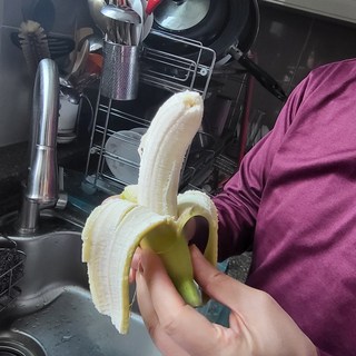 갤러리 이미지