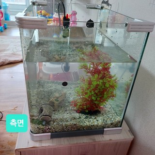 갤러리 이미지