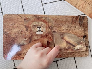 갤러리 이미지