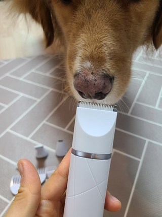 갤러리 이미지