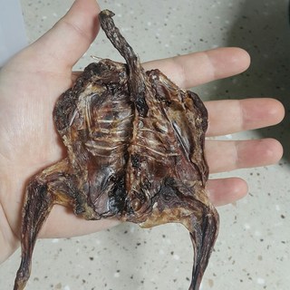 갤러리 이미지