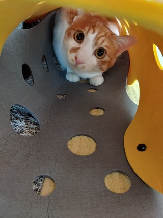 갤러리 이미지