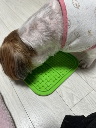 갤러리 이미지
