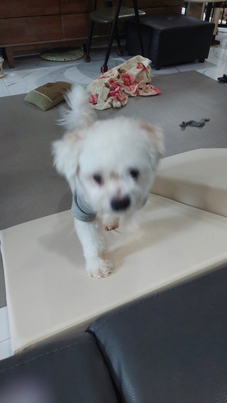 갤러리 이미지