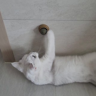 갤러리 이미지