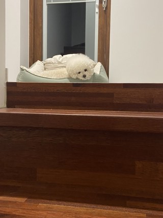 갤러리 이미지